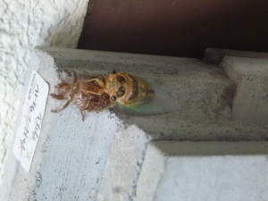 P1250110